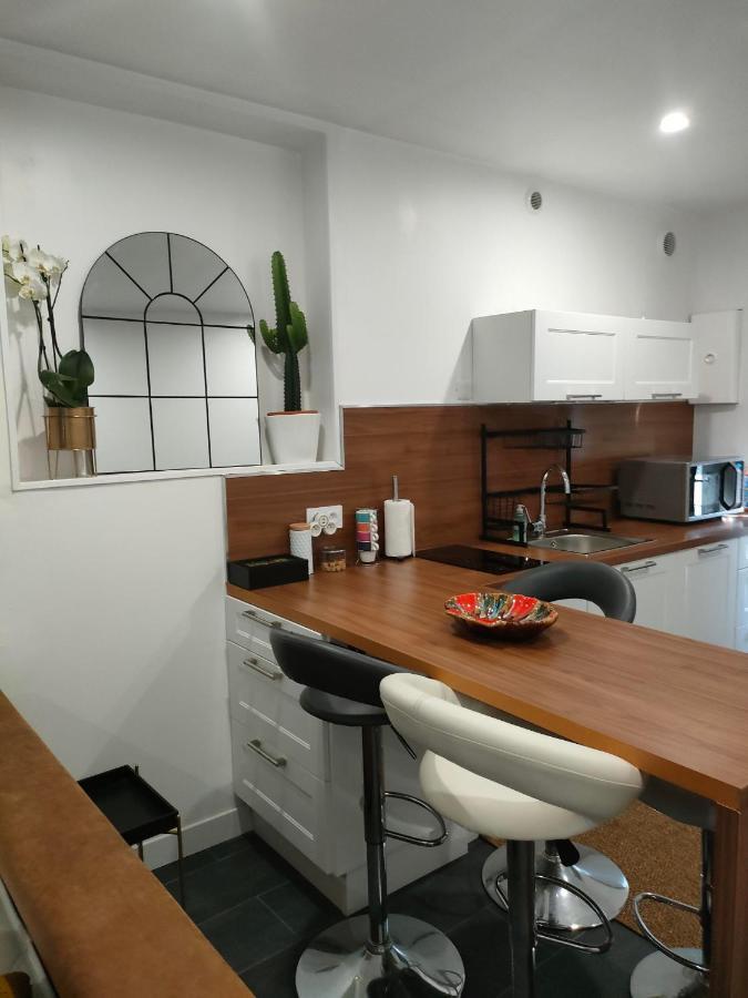 Апартаменты Le Petit Cocon - Parking Prive - Lyon Sud Венисьё Экстерьер фото
