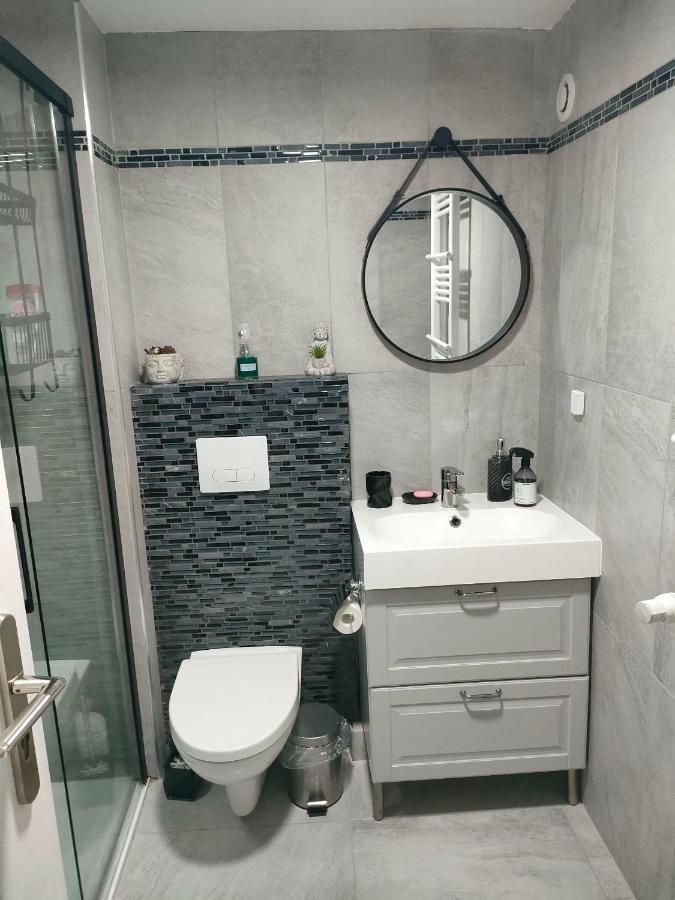 Апартаменты Le Petit Cocon - Parking Prive - Lyon Sud Венисьё Экстерьер фото